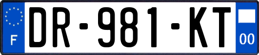 DR-981-KT