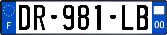 DR-981-LB