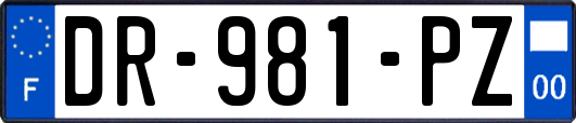 DR-981-PZ