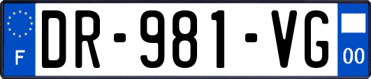 DR-981-VG