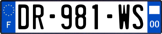 DR-981-WS