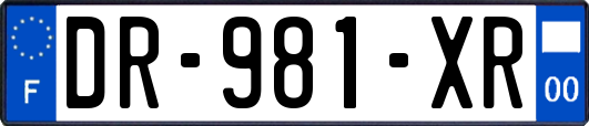 DR-981-XR
