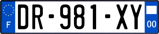 DR-981-XY