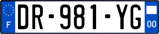 DR-981-YG