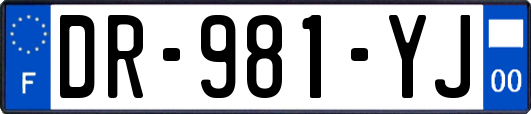 DR-981-YJ