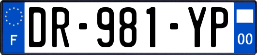 DR-981-YP