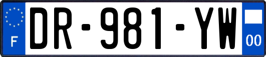 DR-981-YW