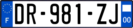 DR-981-ZJ