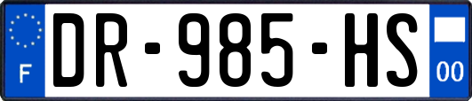 DR-985-HS