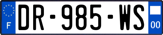 DR-985-WS