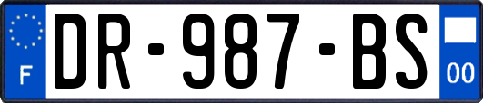 DR-987-BS