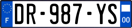 DR-987-YS