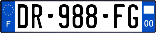 DR-988-FG