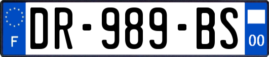 DR-989-BS