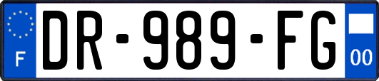 DR-989-FG