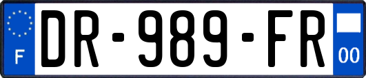 DR-989-FR