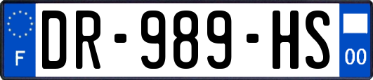 DR-989-HS