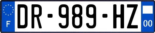 DR-989-HZ