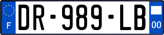 DR-989-LB