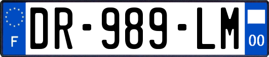 DR-989-LM