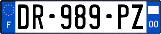 DR-989-PZ