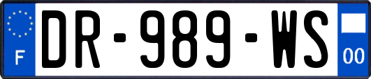 DR-989-WS