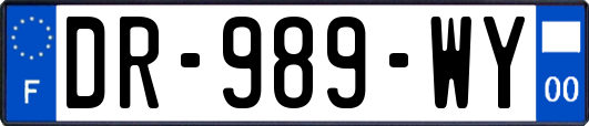 DR-989-WY