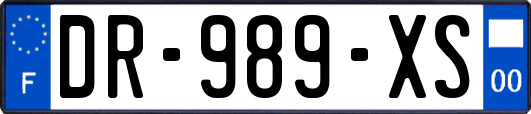 DR-989-XS