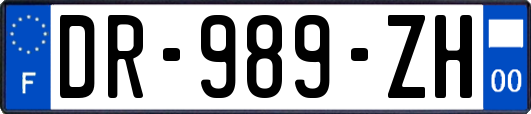 DR-989-ZH