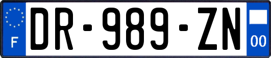 DR-989-ZN