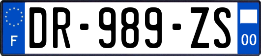 DR-989-ZS