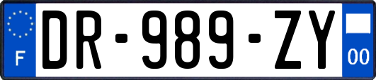 DR-989-ZY