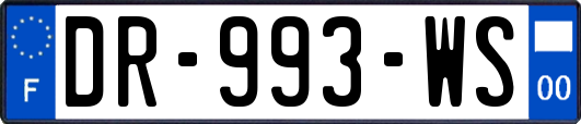 DR-993-WS