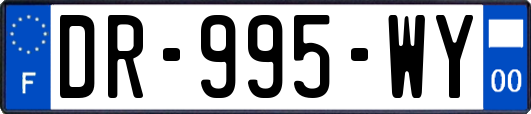 DR-995-WY