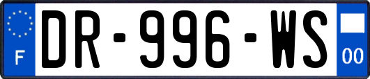 DR-996-WS