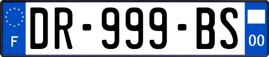 DR-999-BS