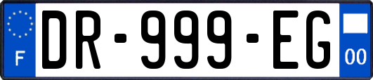 DR-999-EG