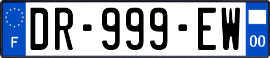 DR-999-EW