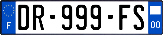 DR-999-FS