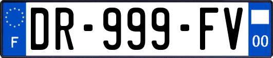 DR-999-FV