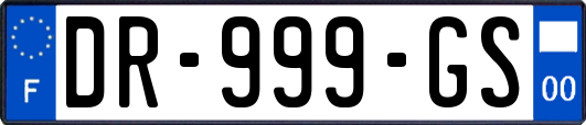 DR-999-GS