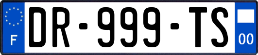 DR-999-TS
