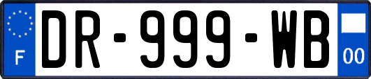DR-999-WB