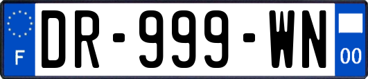 DR-999-WN