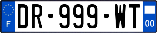 DR-999-WT