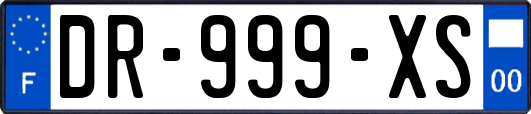 DR-999-XS