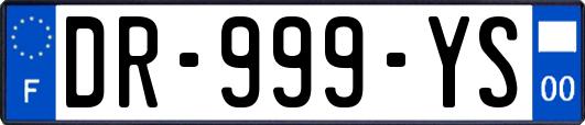 DR-999-YS