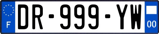 DR-999-YW