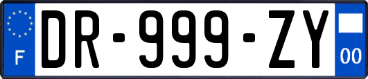 DR-999-ZY