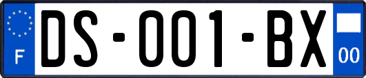 DS-001-BX